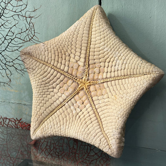 Étoile-coussin