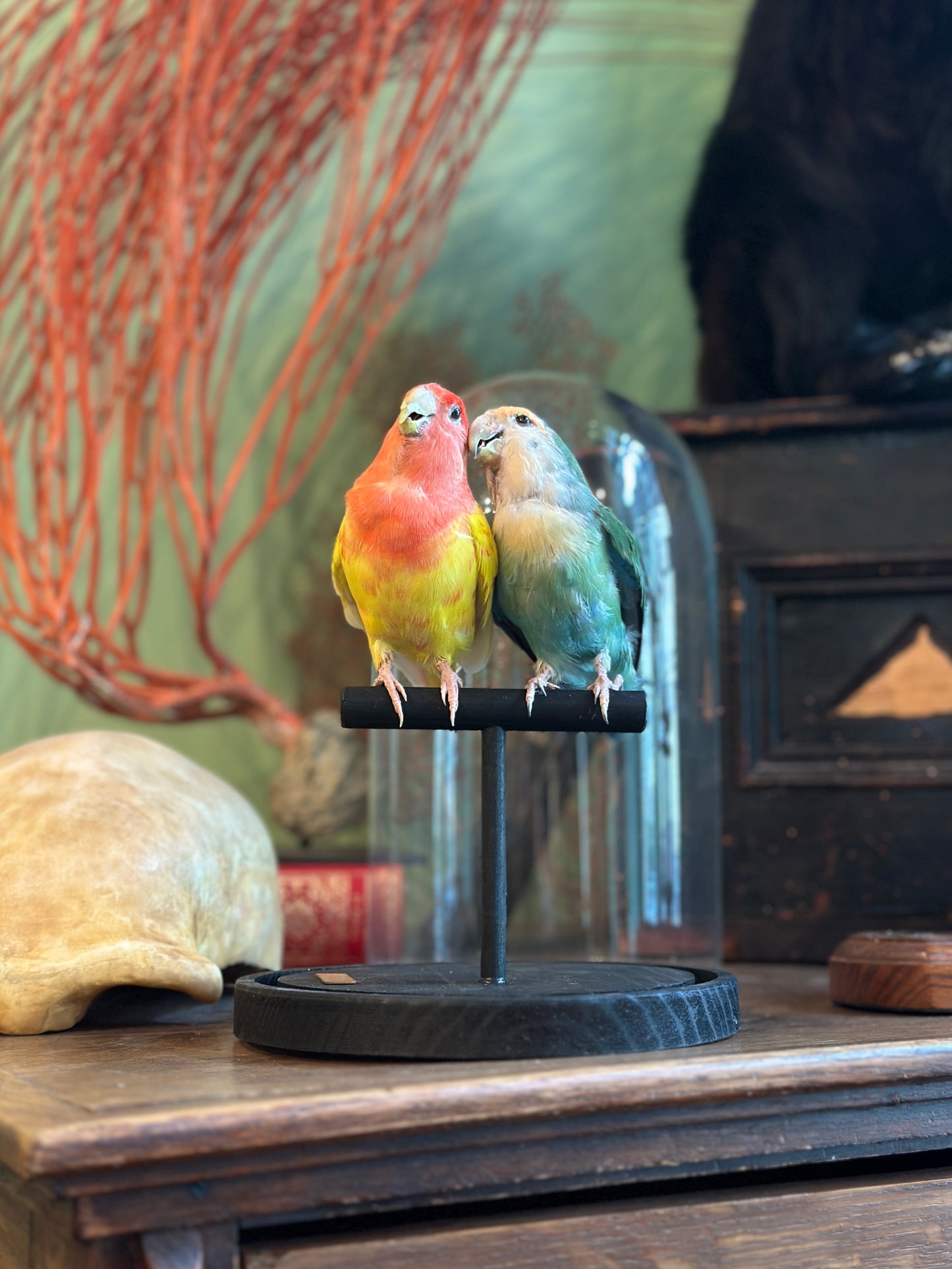 Inseparable hybrid duo