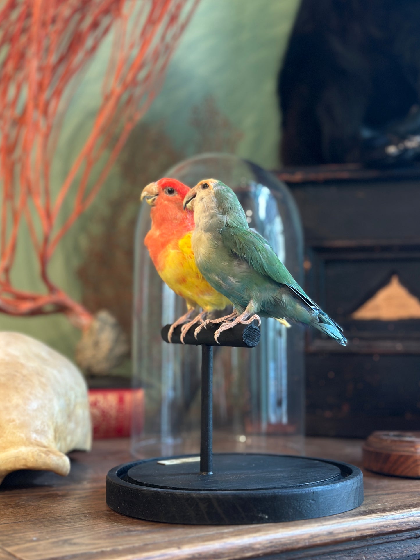 Inseparable hybrid duo