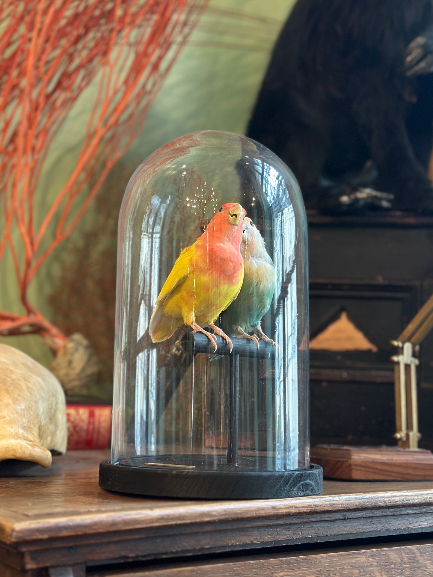 Inseparable hybrid duo