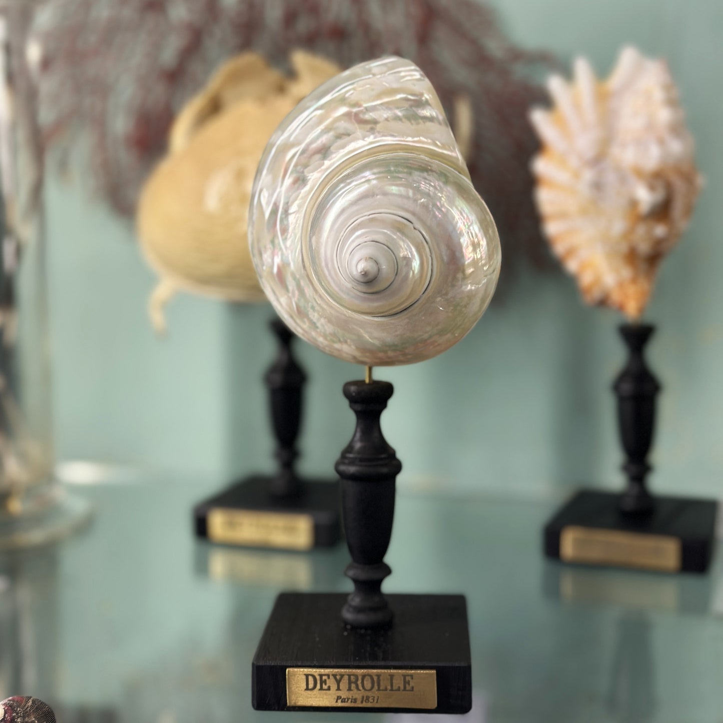 Pearlescent turbo on a base