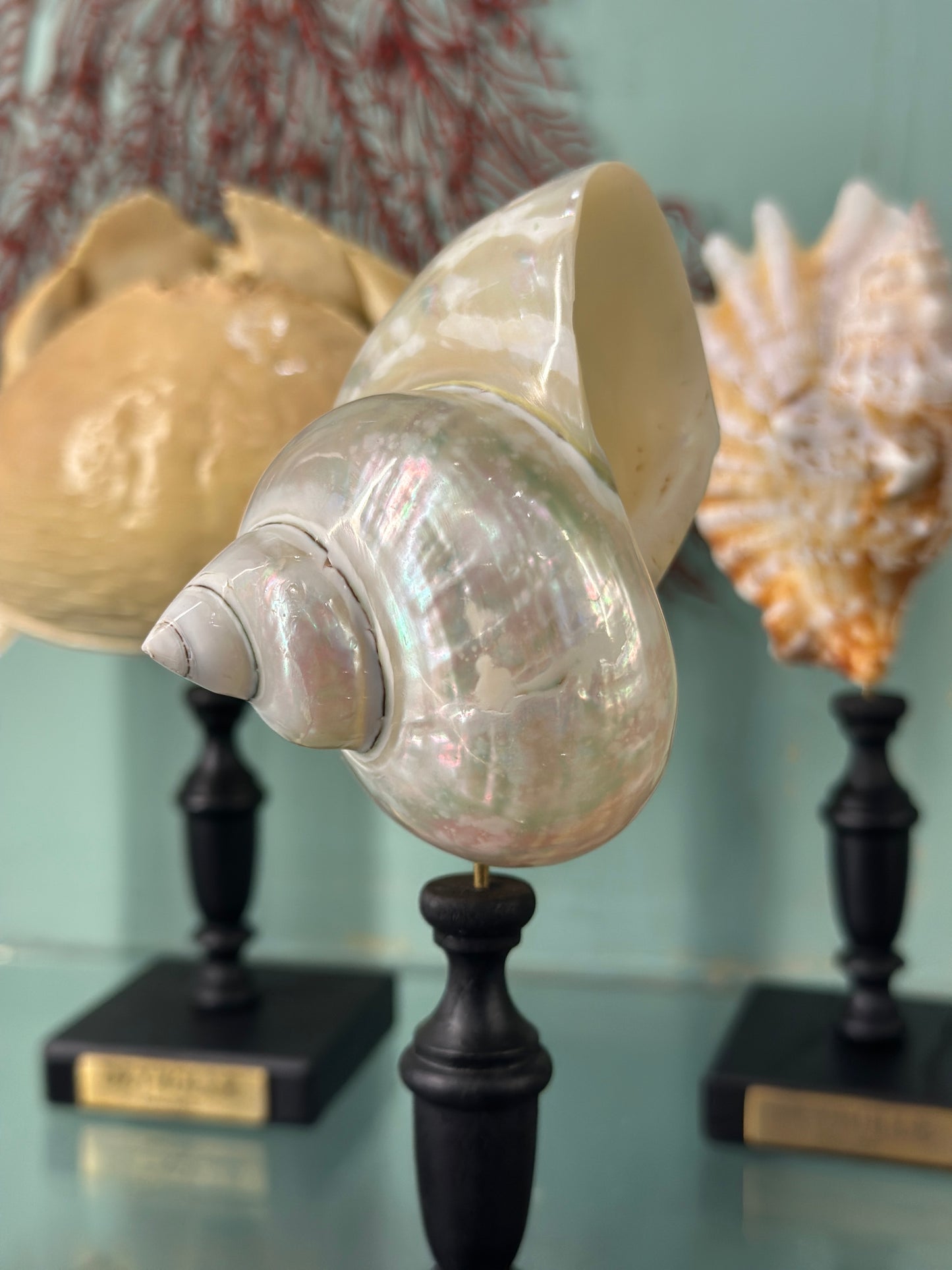 Pearlescent turbo on a base