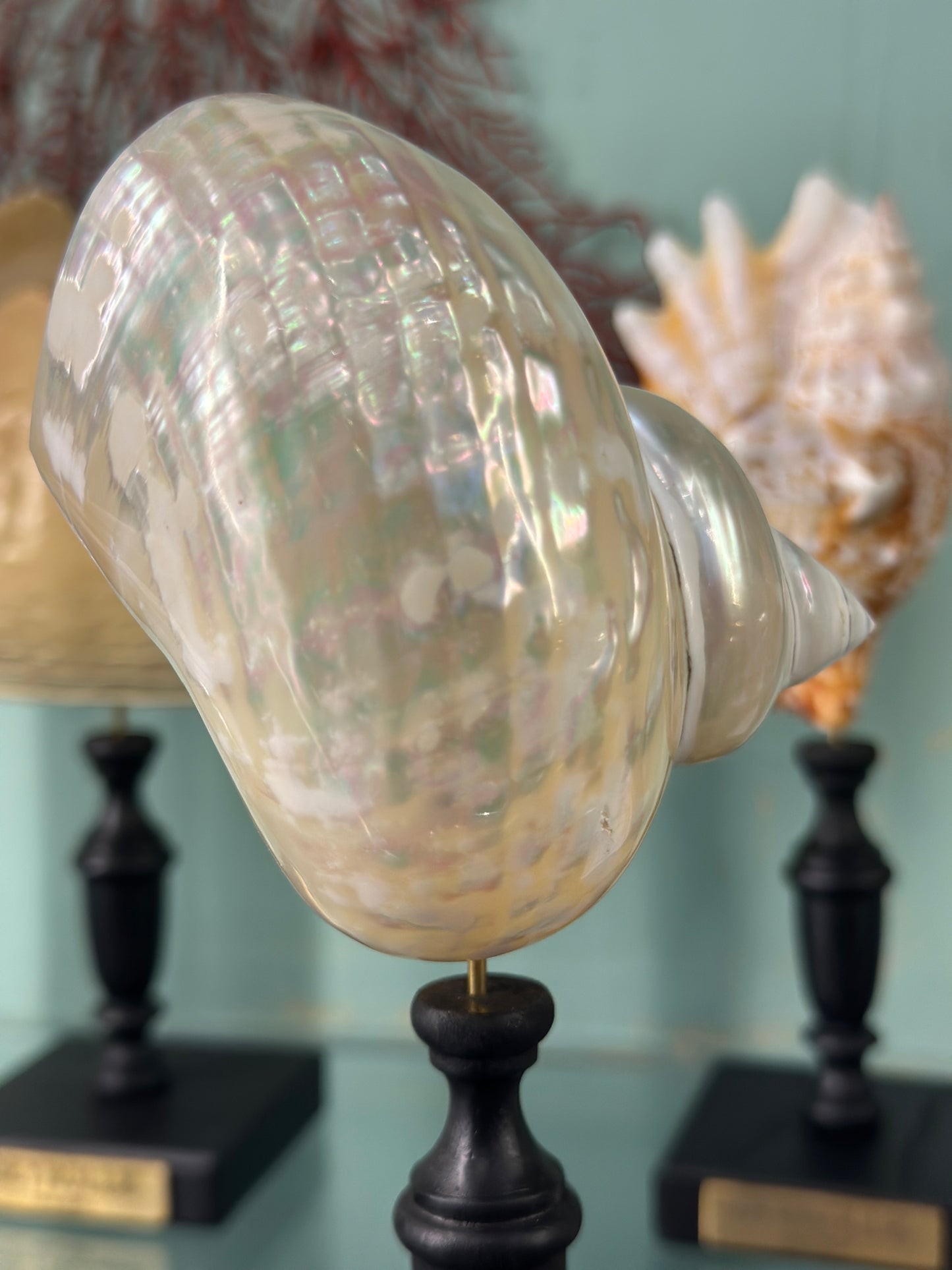 Pearlescent turbo on a base