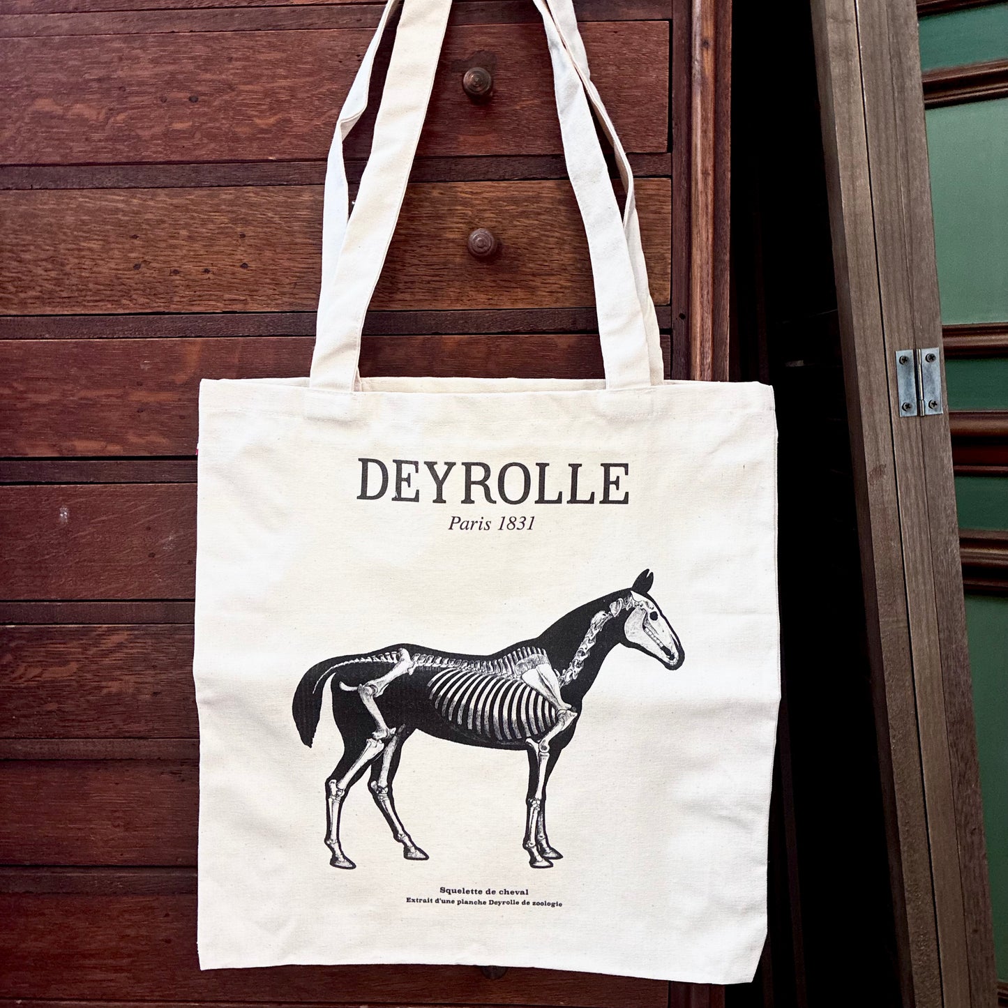 Tote bag squelette de cheval