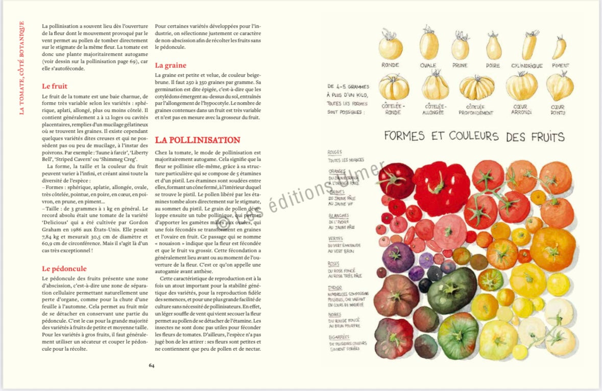 The Tomato Conservatory
