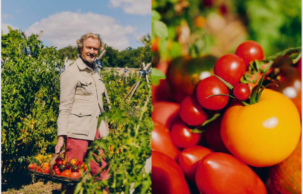 The Tomato Conservatory