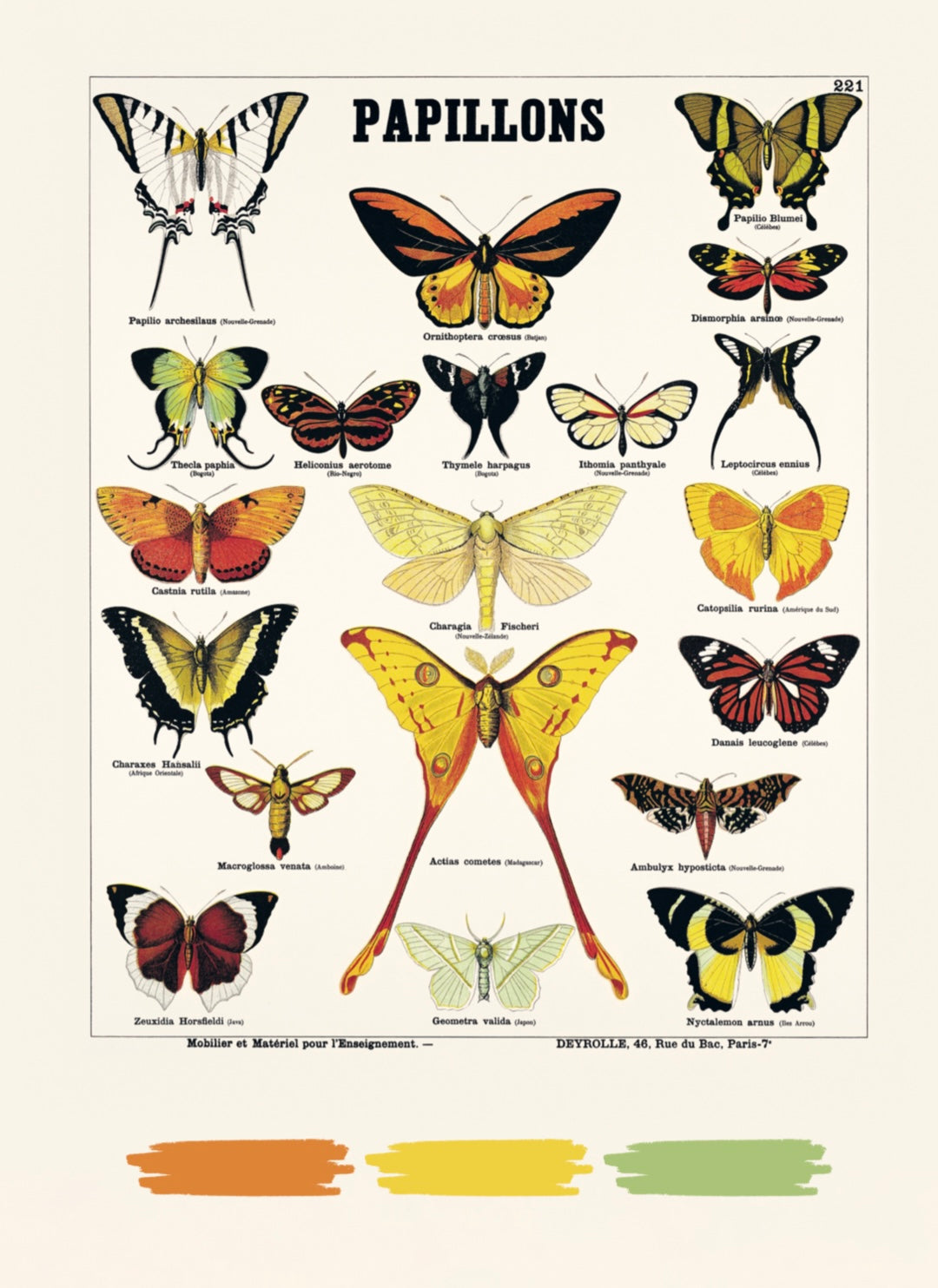 Livre de coloriage : "Les animaux Deyrolle"