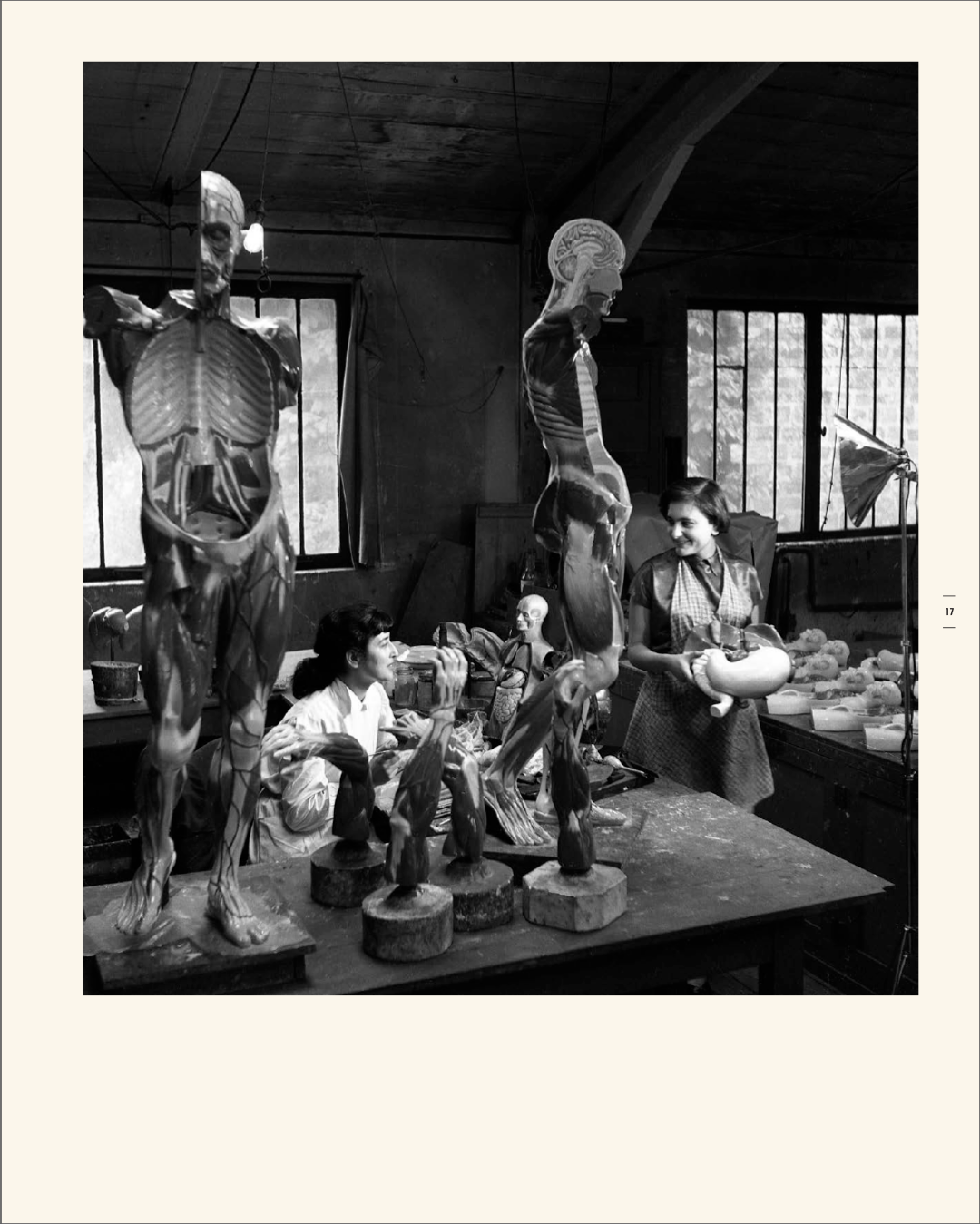 Deyrolle vu par Doisneau