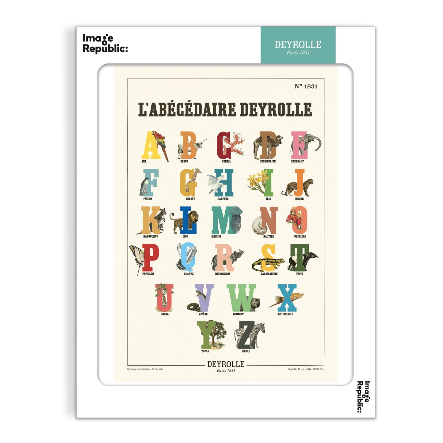 The Alphabet Book - Deyrolle x Image Republic