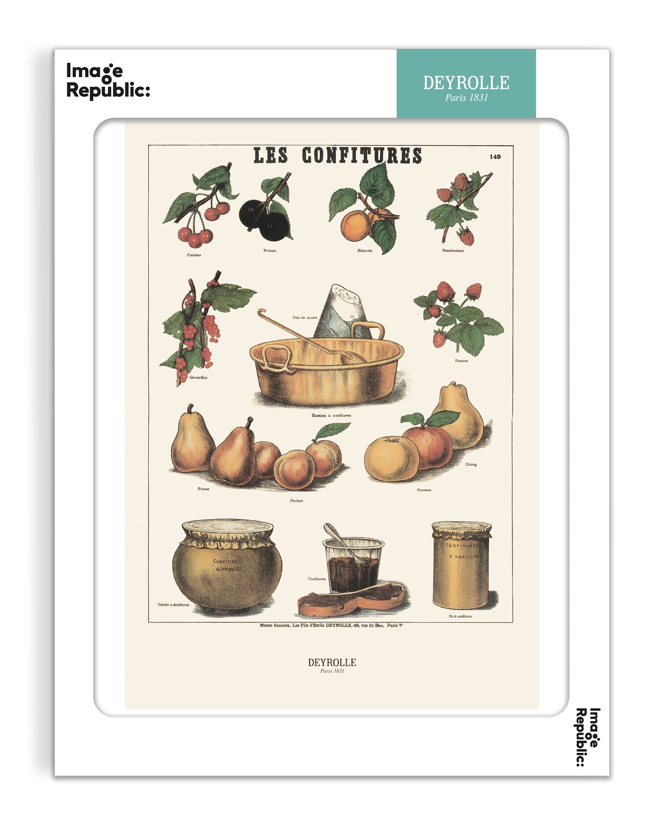 Les confitures - Deyrolle x Image Republic