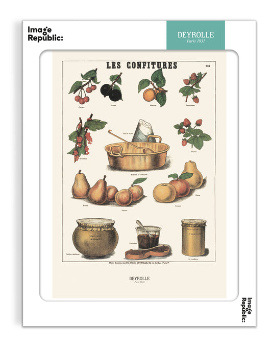 Les confitures - Deyrolle x Image Republic