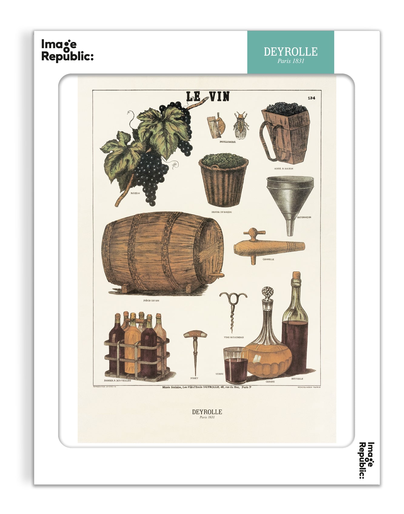 Le vin - Deyrolle x Image Republic