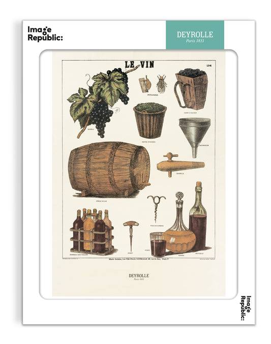 Le vin - Deyrolle x Image Republic
