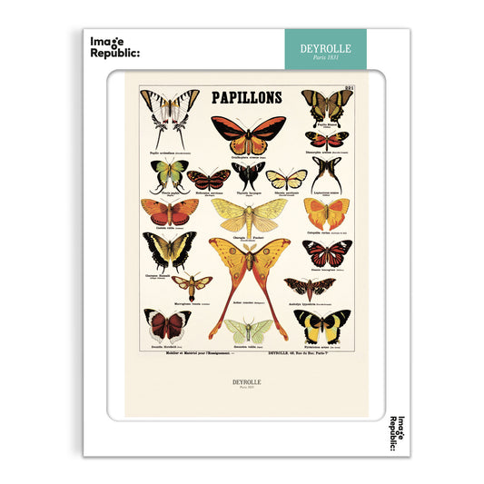 Butterflies - Deyrolle x Image Republic