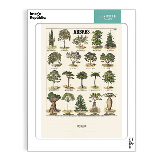 Trees - Deyrolle x Image Republic