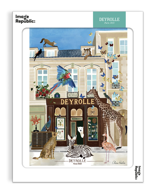 Facade Deyrolle - Deyrolle x Image Republic