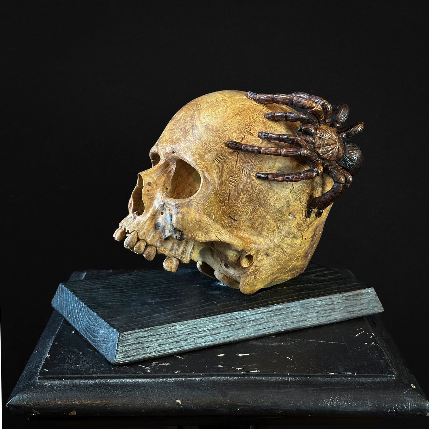 Skull spider