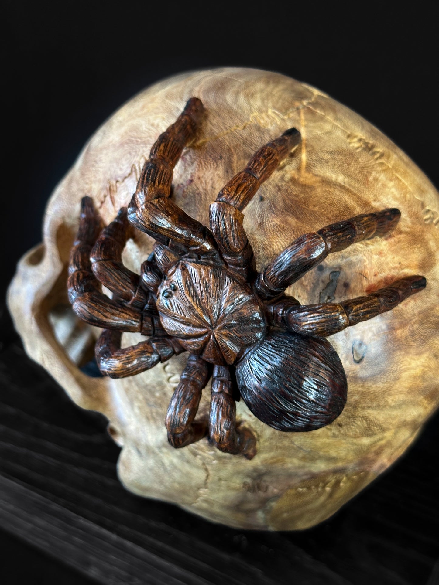 Skull spider