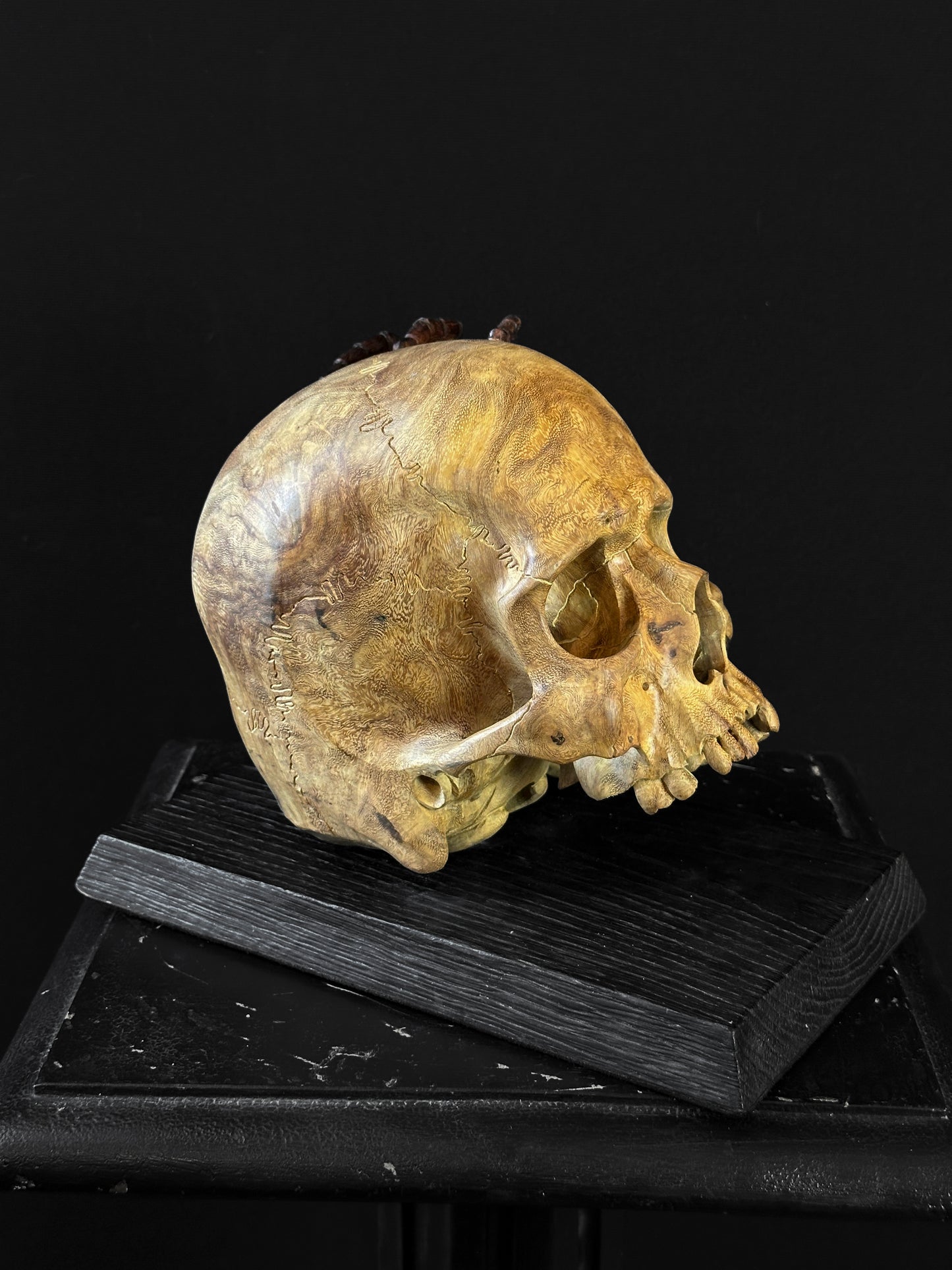 Skull spider