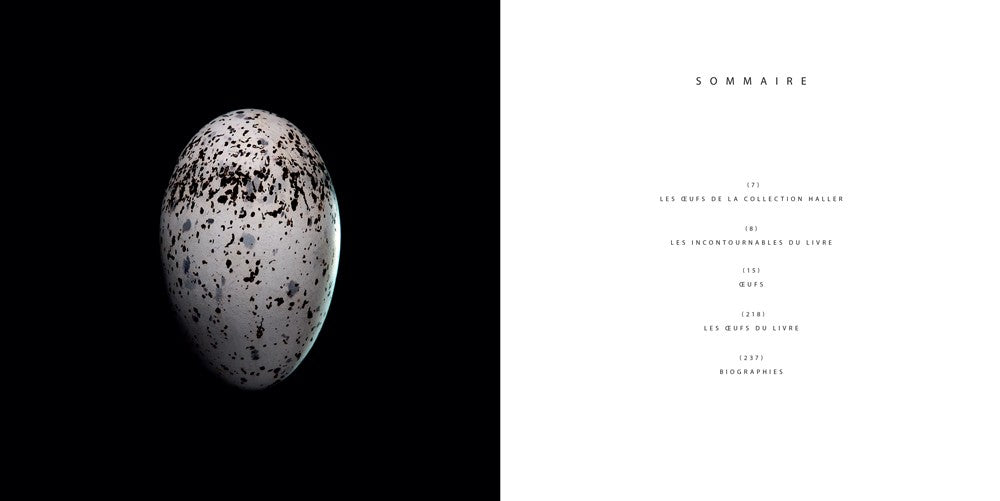 EGGS