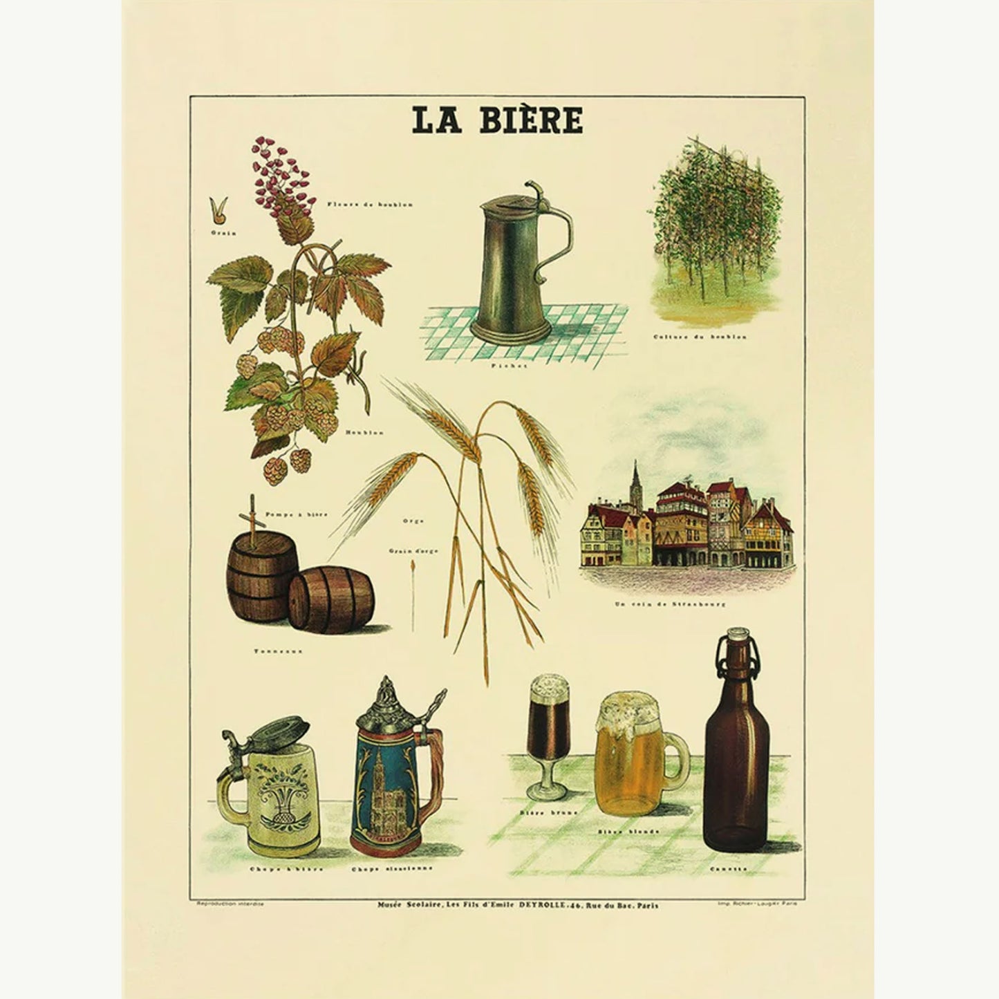 Beer