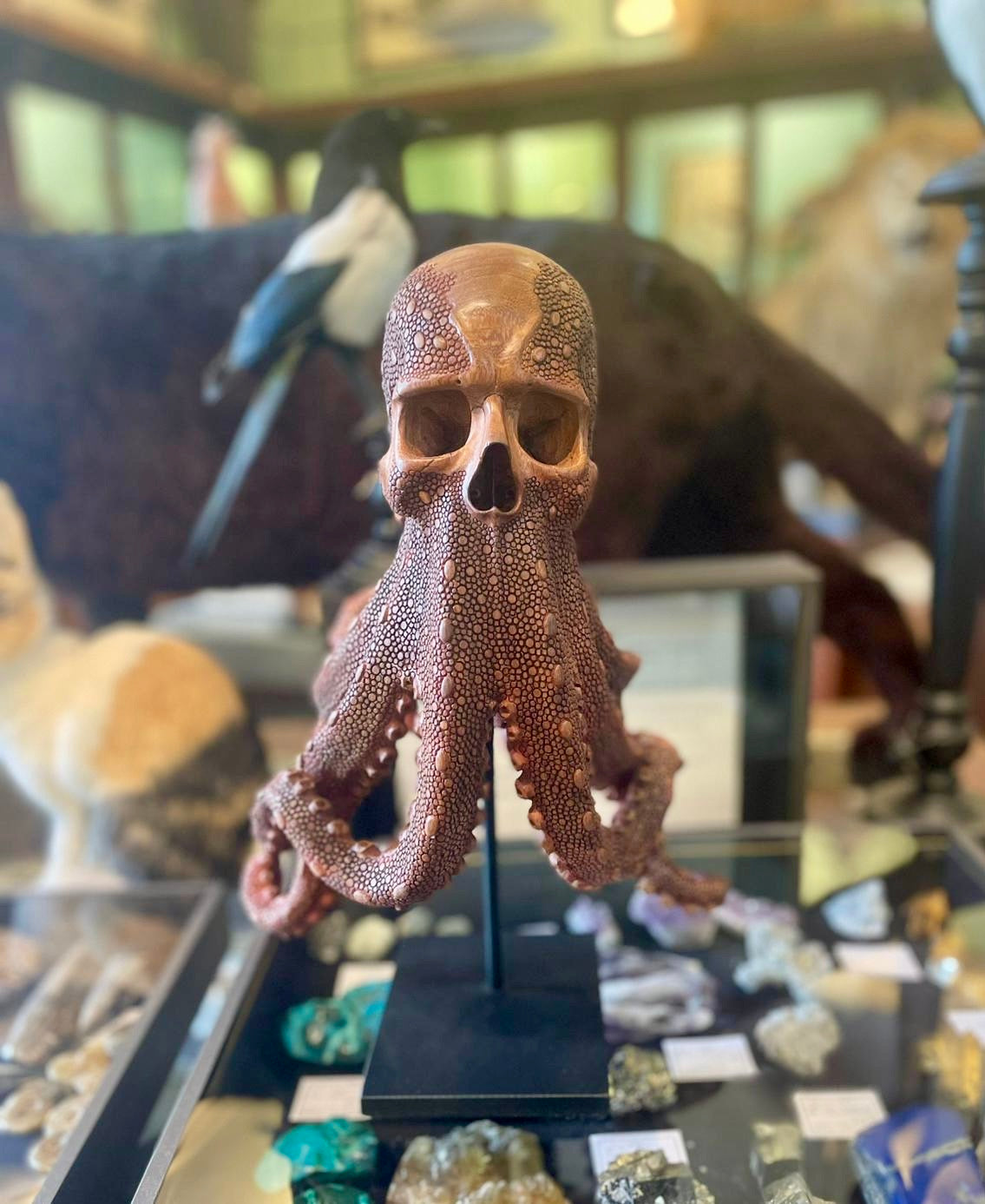Crâne à barbe de tentacules