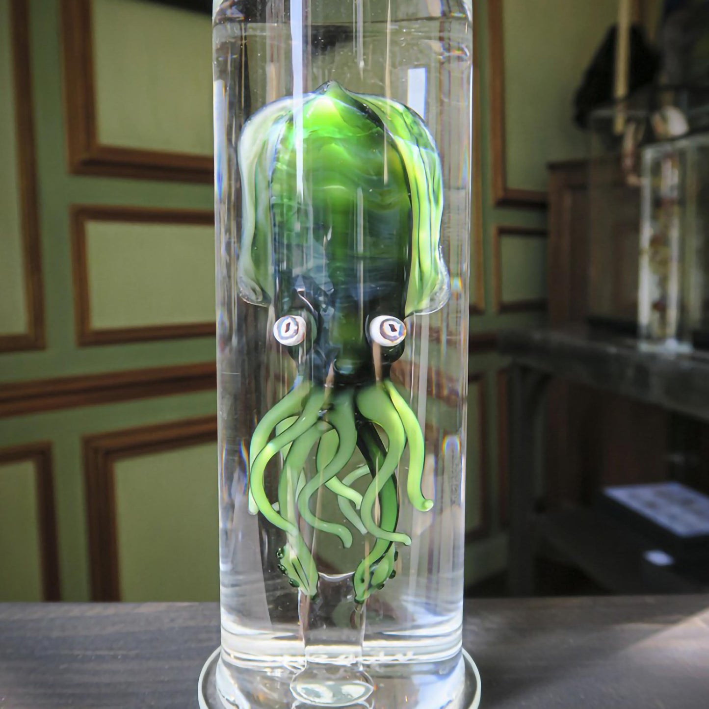 Cabinet de curiosité : Cephalopoda