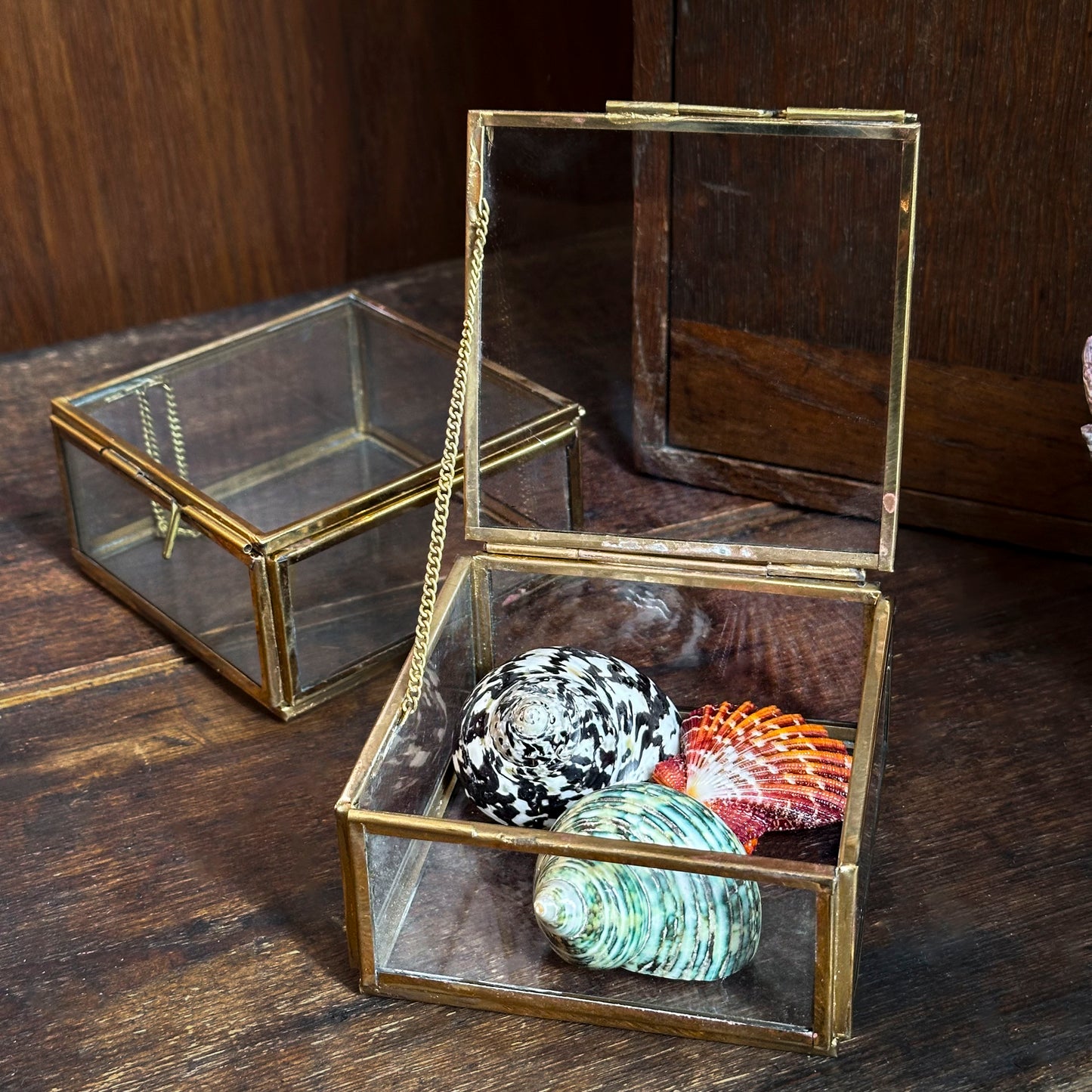 Small curiosity box in glass and brass