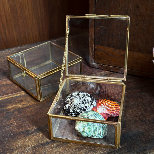 Small curiosity box in glass and brass
