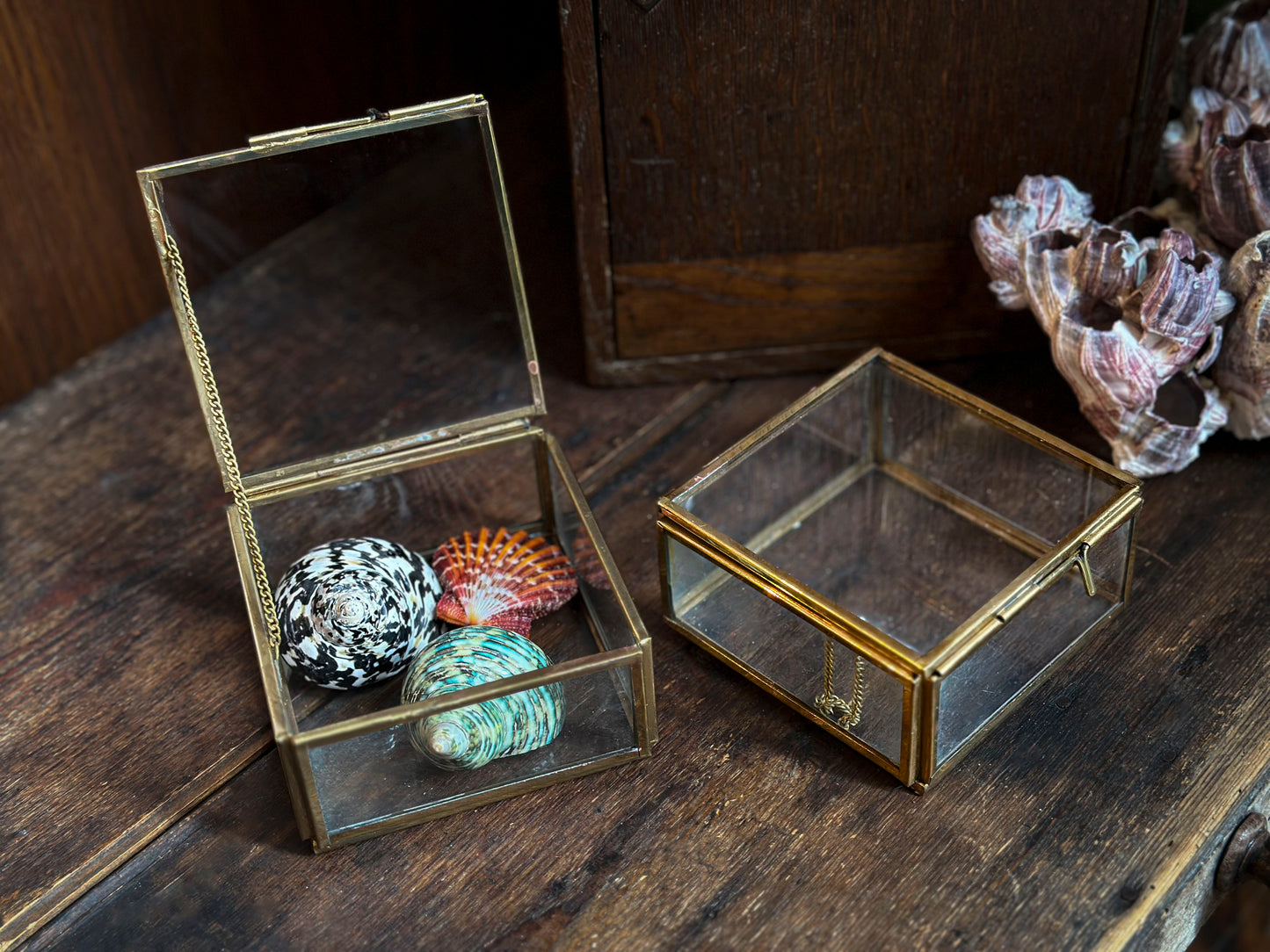 Small curiosity box in glass and brass