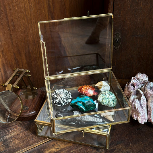 Large glass and brass curiosity box
