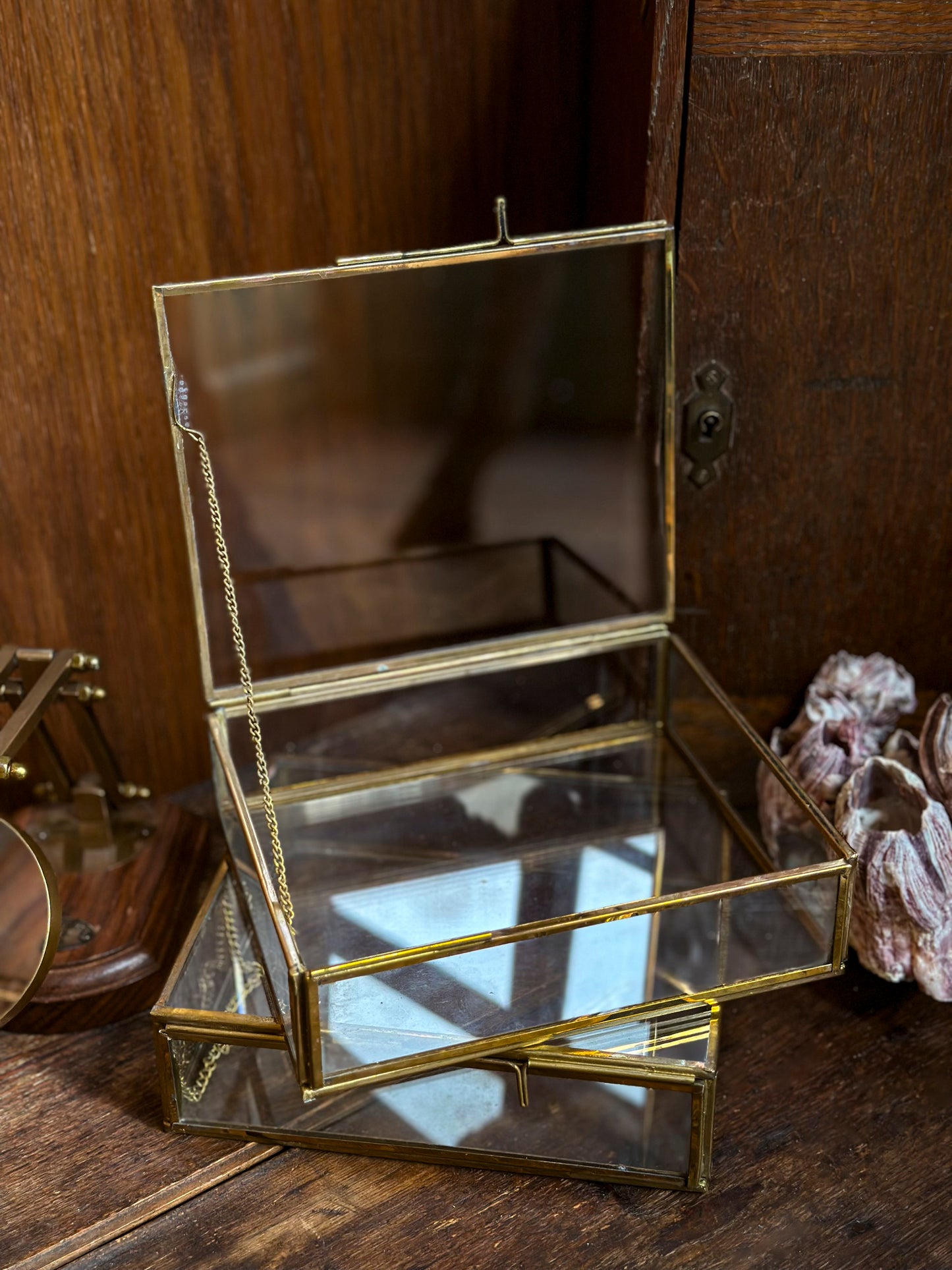 Large glass and brass curiosity box