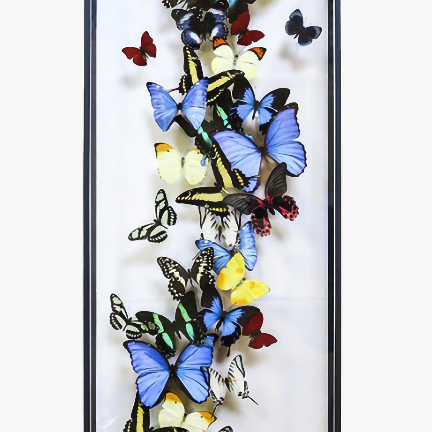 Envolée multicolore de papillons