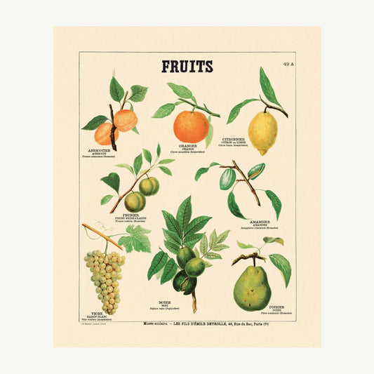 Les fruits du verger