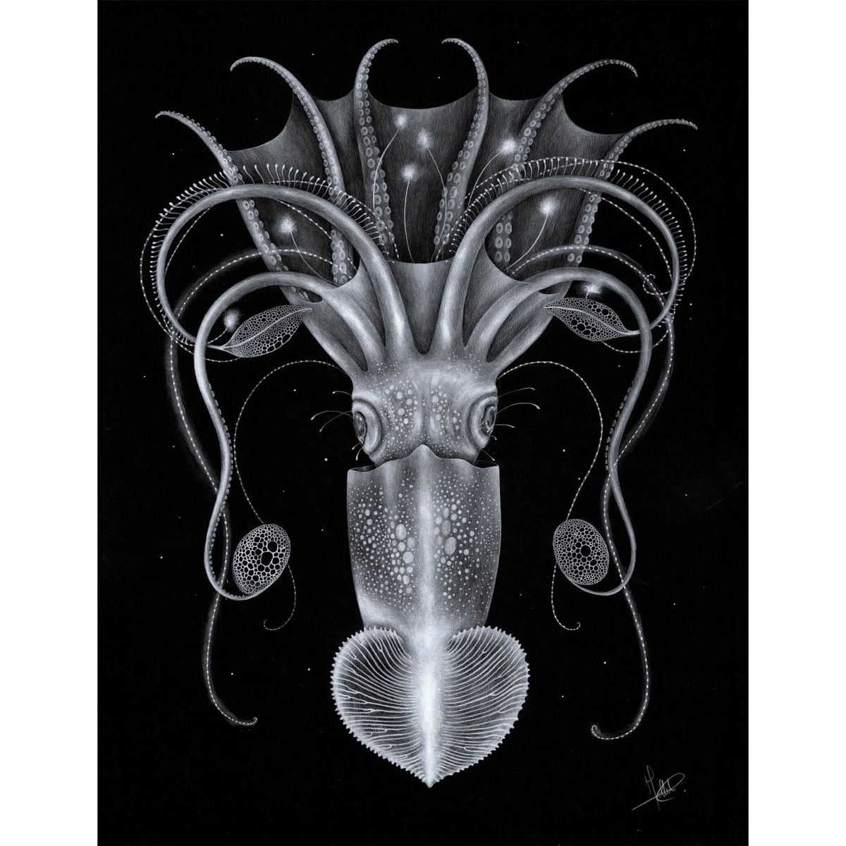 Hermaphopoda