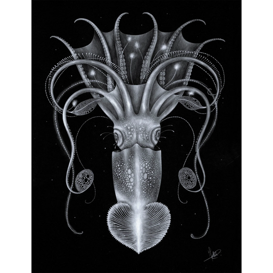 Hermaphopoda