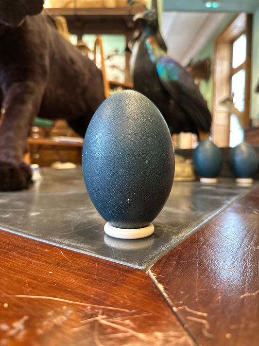 Emu egg