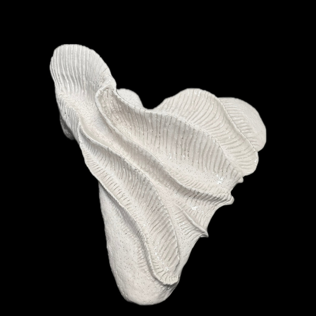 Vitalia Ex Scapula