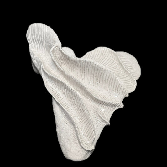 Vitalia Ex Scapula