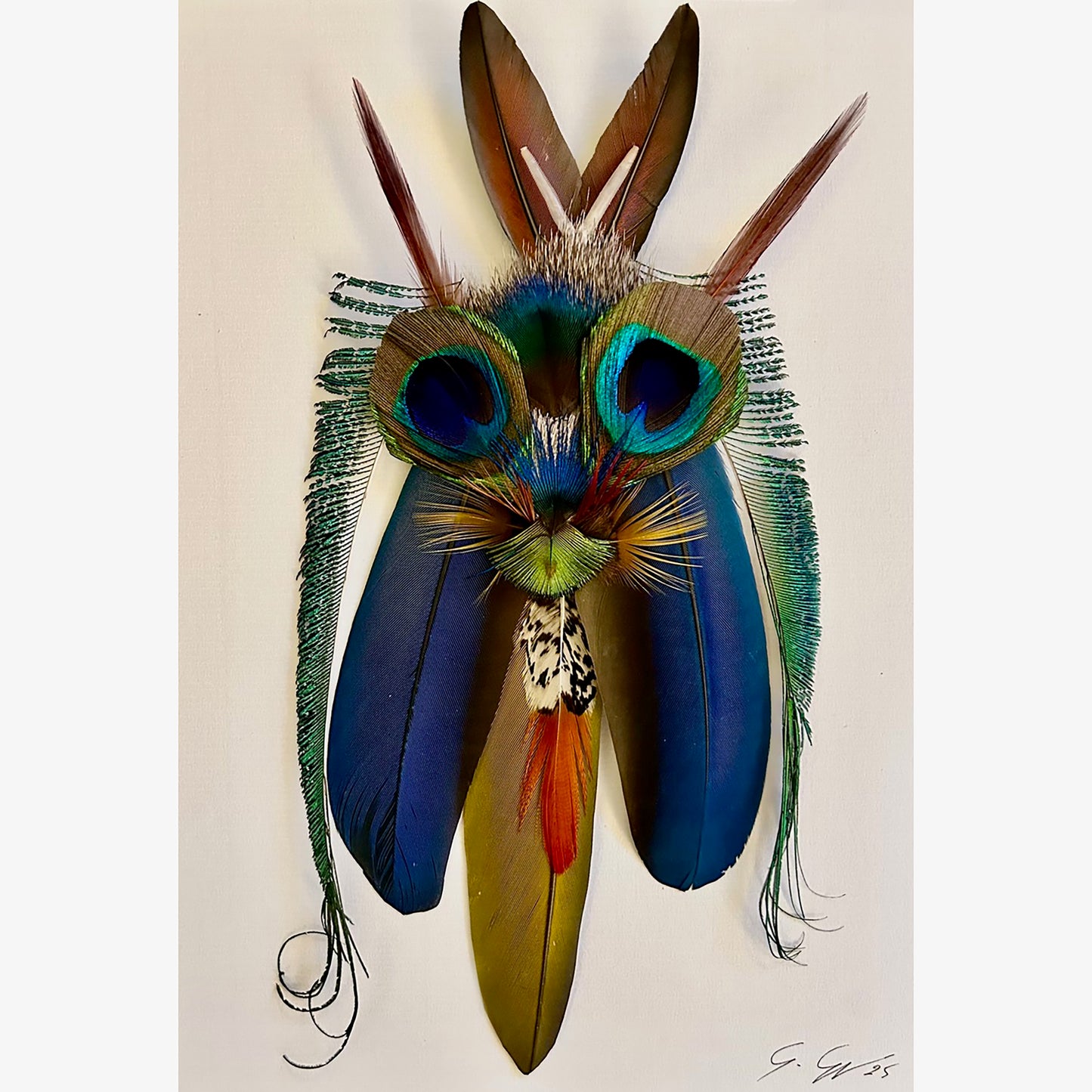 Noctuide splendida