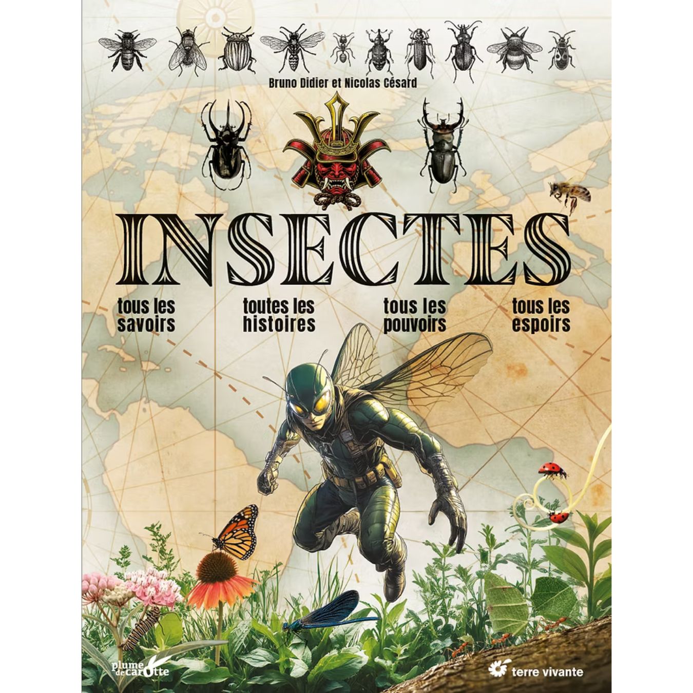 Insectes
