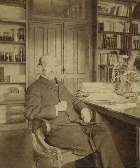 Portrait de Jean-Baptiste Deyrolle dans son bureau 