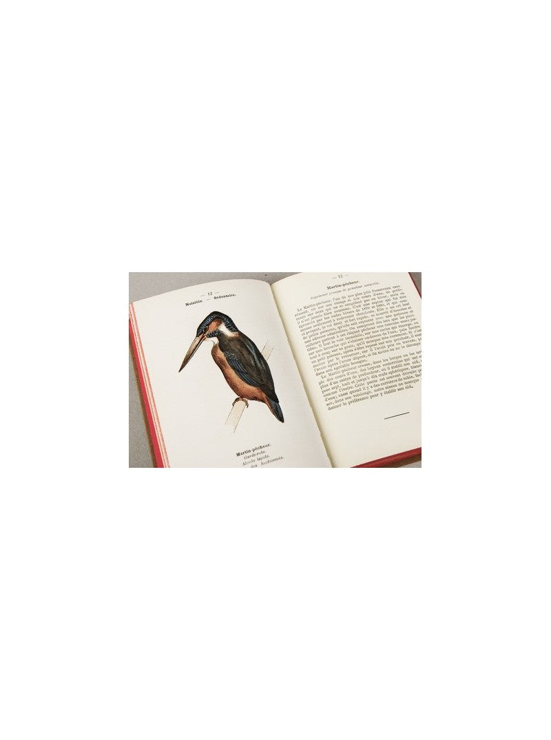 Pocket Atlas of the Birds of France - Series 1
