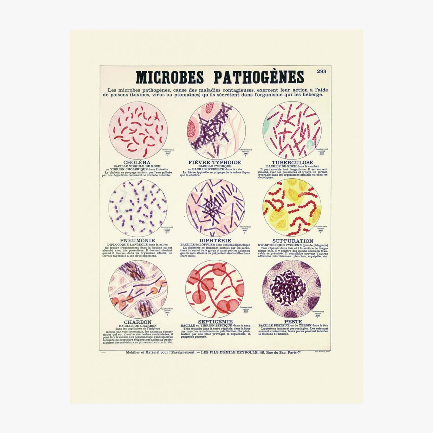 Microbes pathogènes