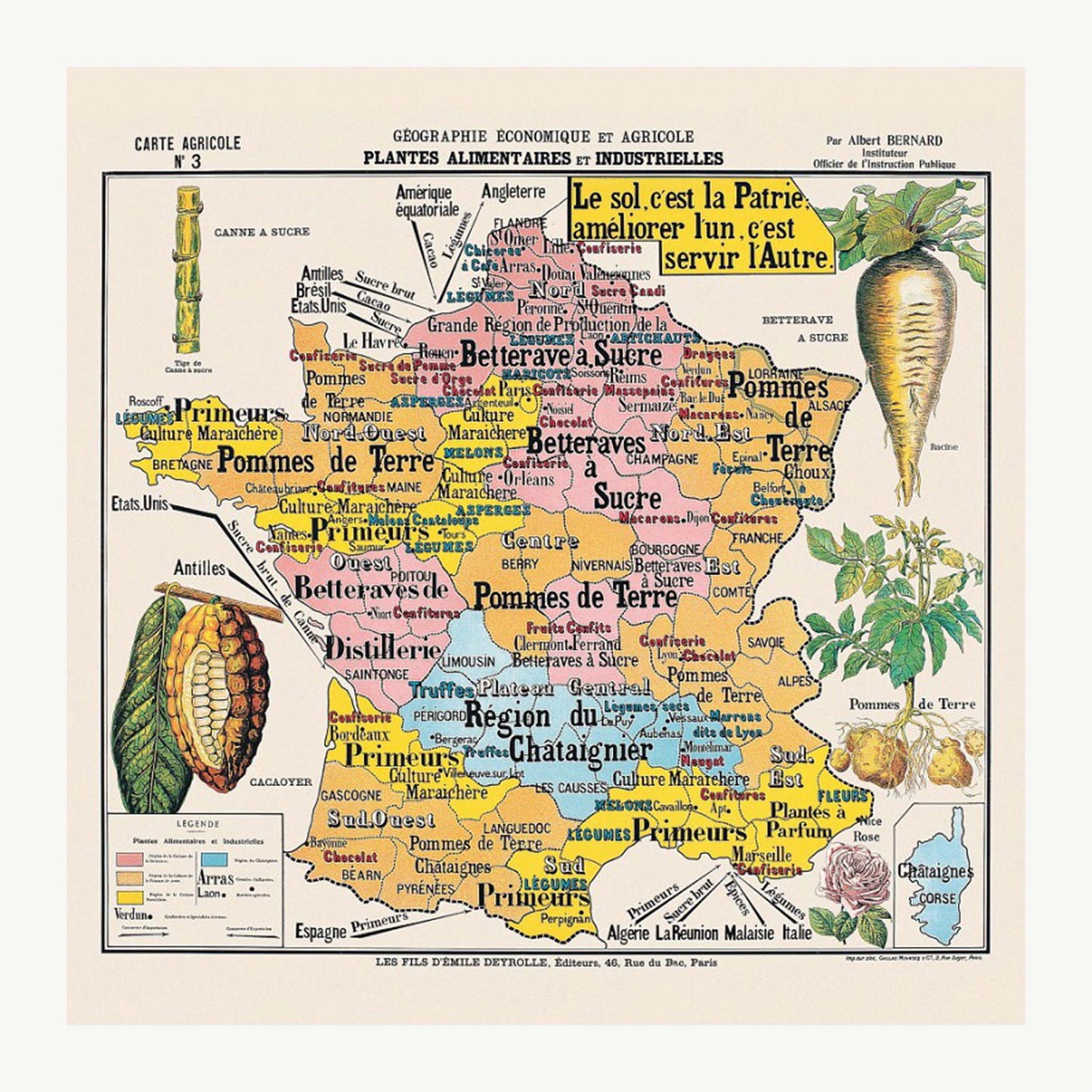 Carte de géographie n°3 : "Plantes alimentaires et industrielles"