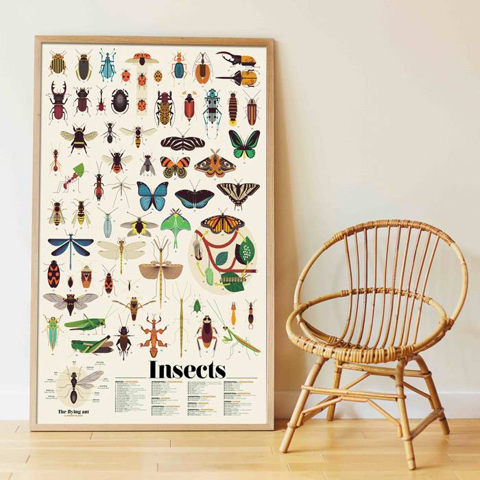 Poster géant "Insectes" + 44 stickers Insectes