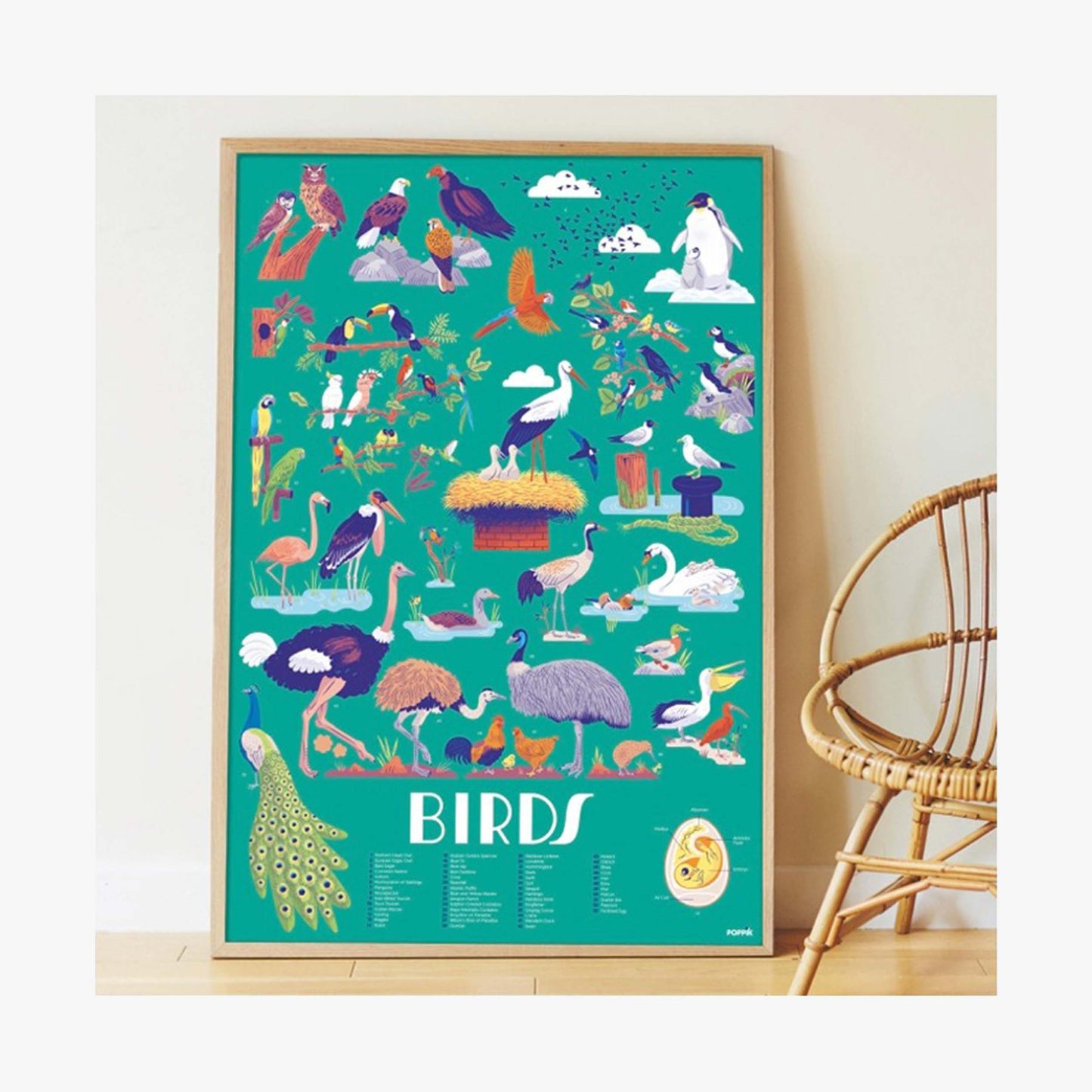 Poster géant "Oiseaux" + 45 stickers Insectes